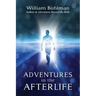 Adventures in the Afterlife