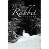 The Year of the Rabbit: Poetry