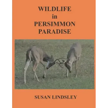 Wildlife in Persimmon Paradise