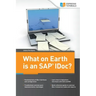 What on Earth is an SAP IDoc?