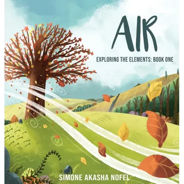 Air: Exploring the Elements
