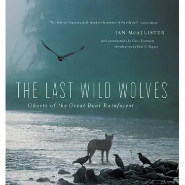 The Last Wild Wolves: Ghosts of the Rain Forest