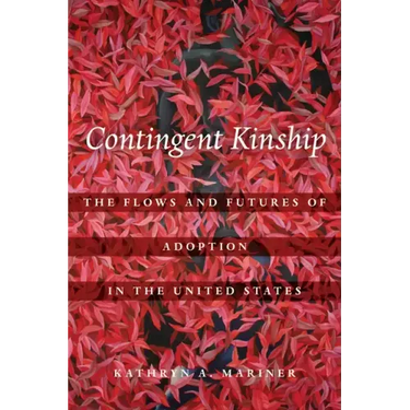 Contingent Kinship: The Flows and Futures of Adoption in the United States Volume 2