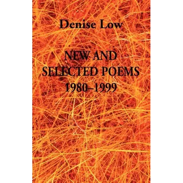 New & Selected Poems: 1980-1999