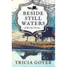 Beside Still Waters: A Big Sky Novel