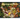 Compostion: composition of compost