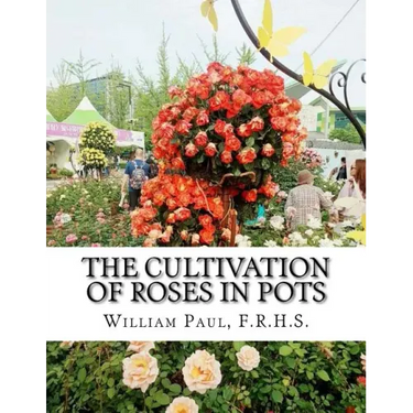 The Cultivation of Roses in Pots: Or; Growing Roses in Containers