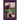 Animal Reiki Tails Volume 2