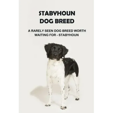 Stabyhoun Dog Breed: A Rarely Seen Dog Breed Worth Waiting for - Stabyhoun: Stabyhoun Dog Breed Information, Photos, Traits and Facts