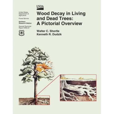 Wood Decay in Living and Dead Trees: A Pictorial Overview