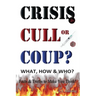 CRISIS, CULL or COUP? WHAT, HOW and WHO? Facts and Truths to Make You Think!: Exposing The Great Lie and the Truth About the Covid-19 Phenomenon.
