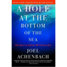 Hole at the Bottom of the Sea: The Race to Kill the BP Oil Gusher