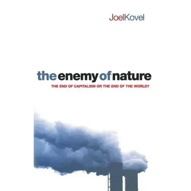 The Enemy of Nature: The End of Capitalism or the End of the World?