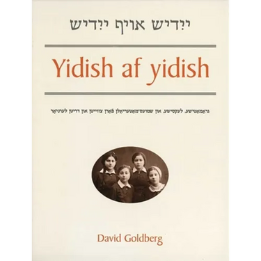 Yidish AF Yidish: Grammatical, Lexical, and Conversational Materials for the Second and Third Years of Study