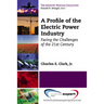 A Profile of the Electric Power Industry: Facing the Challenges of the 21st Century
