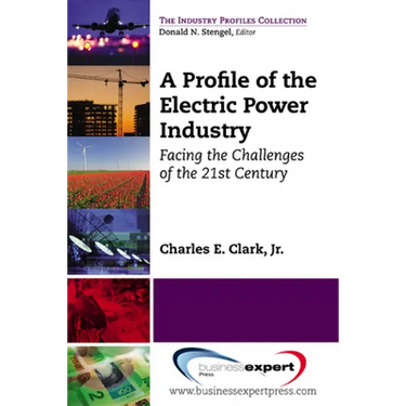 A Profile of the Electric Power Industry: Facing the Challenges of the 21st Century