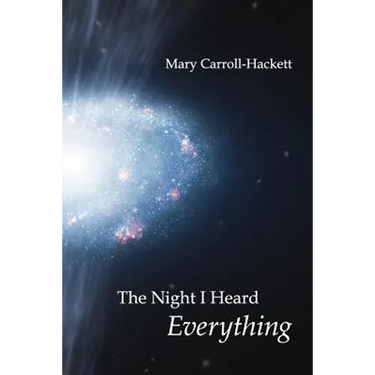 The Night I Heard Everything