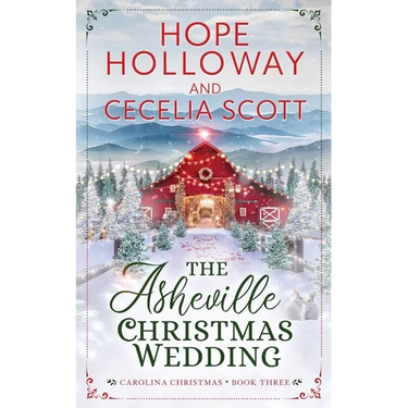 The Asheville Christmas Wedding
