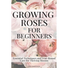 Growing Roses For Beginners: Essential Techniques and Year-Round Care for Thriving Blooms