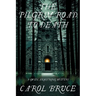 The Pilgrim Road to Death: A Gwen Armstrong Mystery
