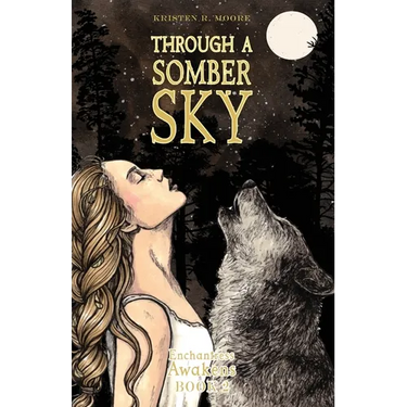Through a Somber Sky