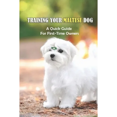 Training Your Maltese Dog: A Quick Guide For First-Time Owners: Maltese Breed Characteristic