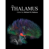 The Thalamus