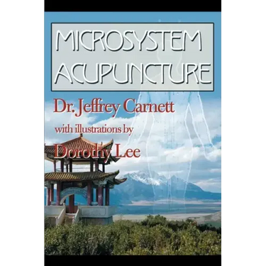 Microsystem Acupuncture