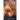 The Beginning of Wisdom