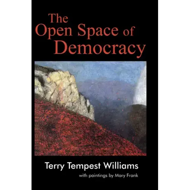 The Open Space of Democracy