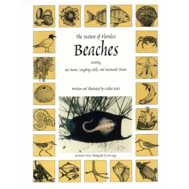 The Nature of Florida's Beaches: Including Sea Beans, Laughing Gulls and Mermaids' Purses
