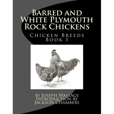 Barred and White Plymouth Rock Chickens