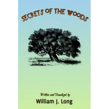 Secrets of the Woods