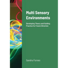 Multi Sensory Environments: Developing Theory and Guiding Practice for Future Direction