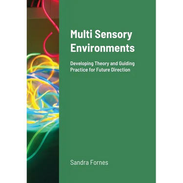 Multi Sensory Environments: Developing Theory and Guiding Practice for Future Direction