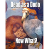 Dead as a Dodo - Now What?: Important Info You'll Need Once I'm Gone
