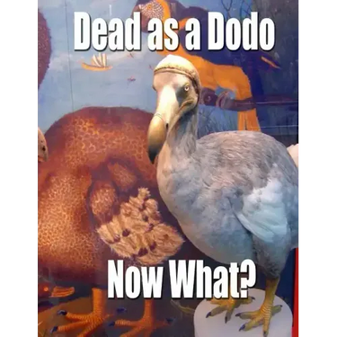 Dead as a Dodo - Now What?: Important Info You'll Need Once I'm Gone