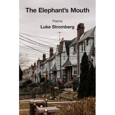 The Elephant's Mouth