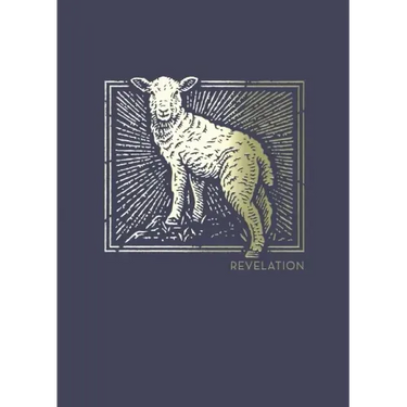 Net Abide Bible Journal - Revelation, Paperback, Comfort Print: Holy Bible