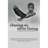 Chasing the Silver Lining