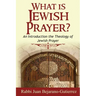 What is Jewish Prayer?: An Introduction the Theology of Jewish Prayer