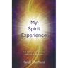My Spirit Experience: True Stories and Lessons from the In-Between