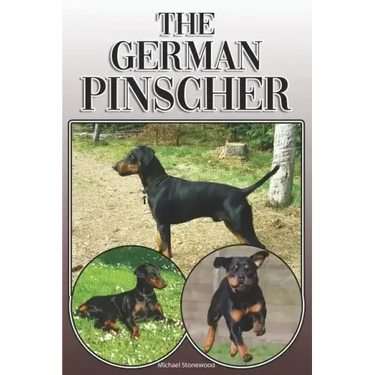 The German Pinscher: A Complete and Comprehensive Owners Guide To: Buying, Owning, Health, Grooming, Training, Obedience, Understanding and