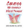 Caradog the Friendly Welsh Dragon