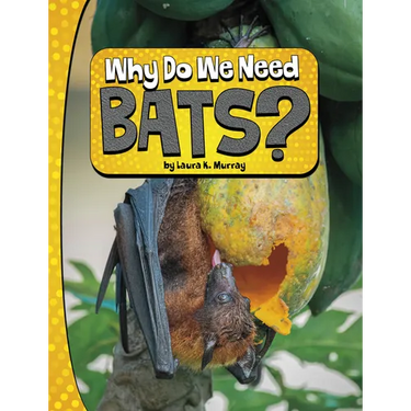 Why Do We Need Bats?