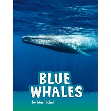 Blue Whales