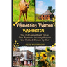 Wandering Woman: Washington: The Ultimate Road Trip: One Woman's Journey Across the United States by Car