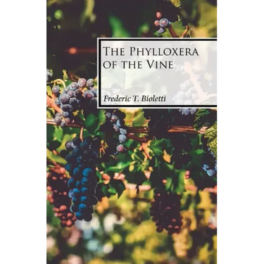 The Phylloxera of the Vine