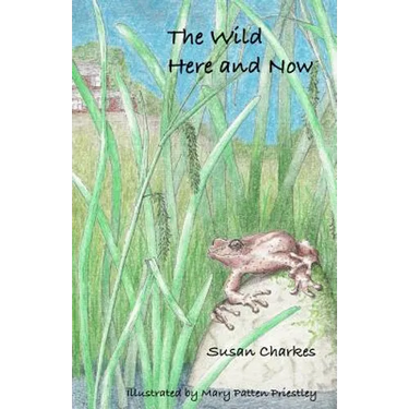 The Wild Here and Now