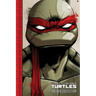Teenage Mutant Ninja Turtles: The IDW Collection Volume 1